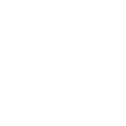 Icon Hotel