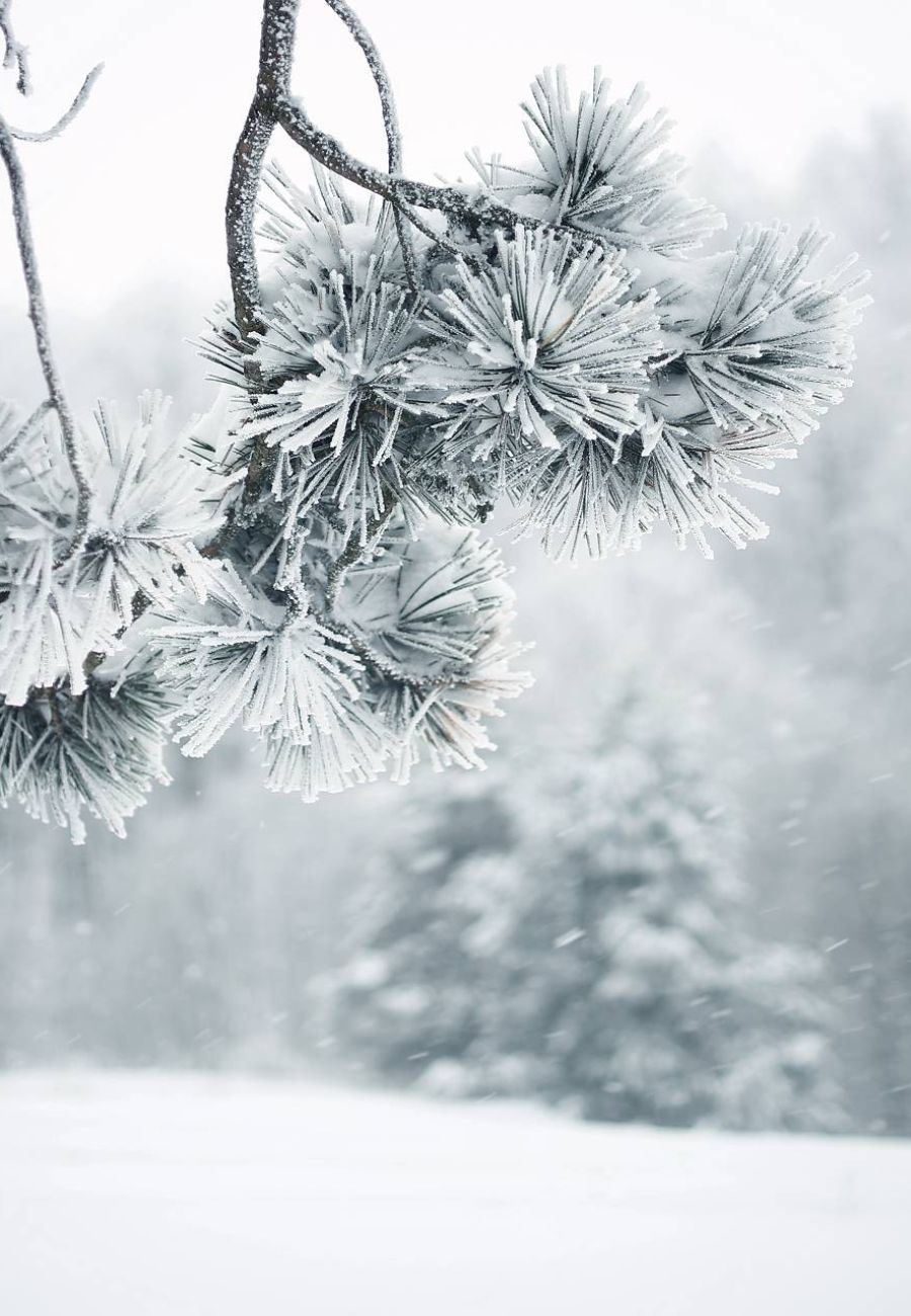 Winterbild